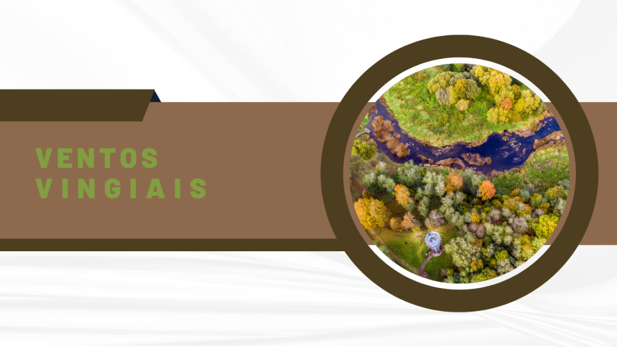 Naujienos