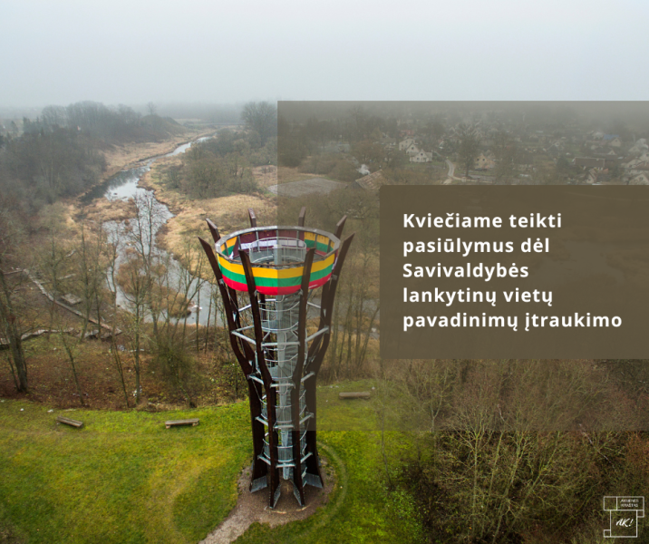 Konsultavimasis su visuomene 