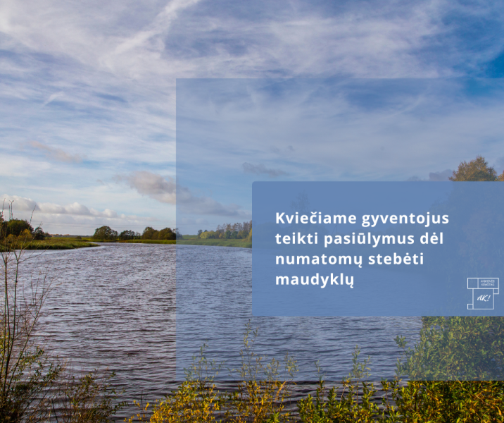 Konsultavimasis su visuomene 